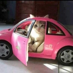 Meet your Posher, Farah